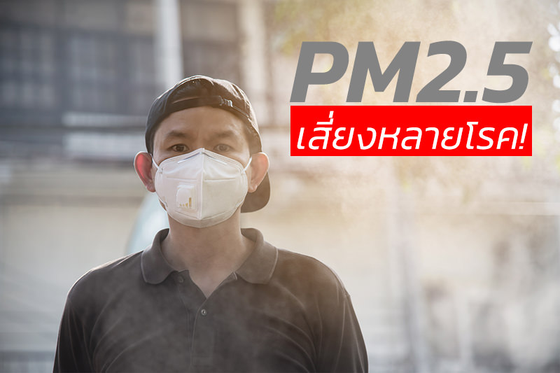 ฝุ่นPM25